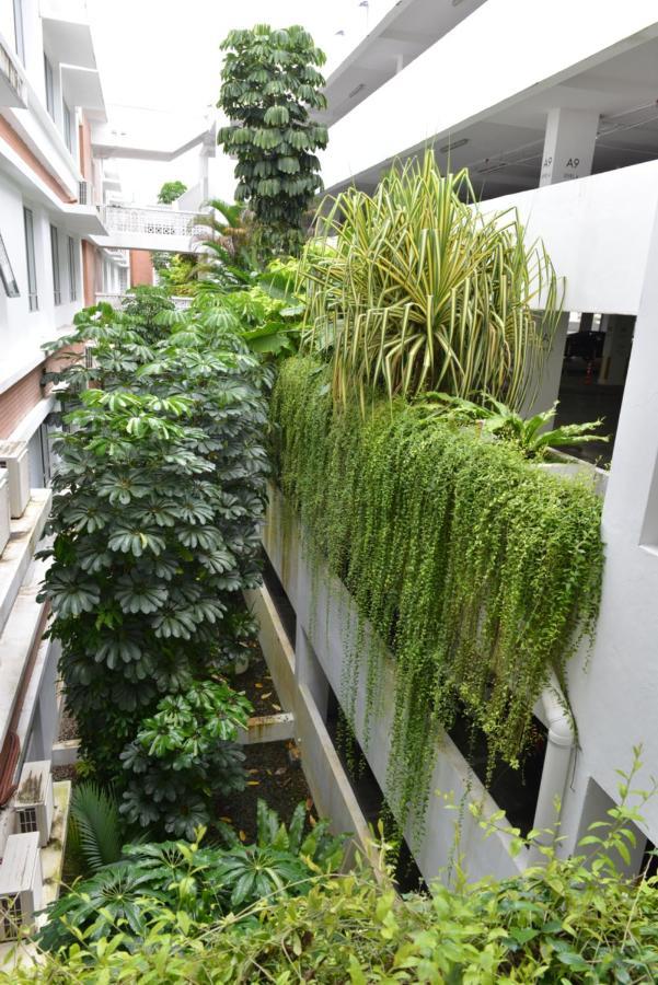 My Daily Homestay - Miri Times Square Exteriér fotografie